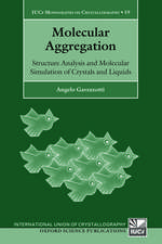 Molecular Aggregation: Structure Analysis and Molecular Simulation of Crystals and Liquids