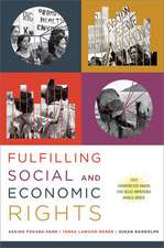 Fulfilling Social and Economic Rights