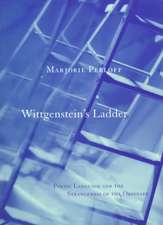 Wittgenstein's Ladder: Poetic Language and the Strangeness of the Ordinary