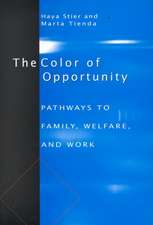 The Color of Opportunity: Pathways to Family, Welfare, and Work