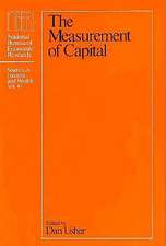 The Measurement of Capital