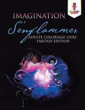 Imagination S'Enflammer