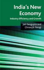 India's New Economy: Industry Efficiency and Growth