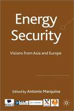 Energy Security: Visions from Asia and Europe