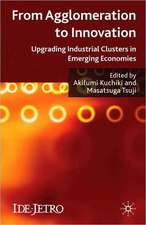 From Agglomeration to Innovation: Upgrading Industrial Clusters in Emerging Economies