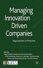 Managing Innovation Driven Companies: Approaches in Practice