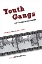 Youth Gangs and Community Intervention – Research, Practice, and Evidence