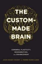 The Custom–Made Brain – Cerebral Plasticity, Regeneration, and Enhancement