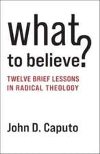 What to Believe? – Twelve Brief Lessons in Radical Theology