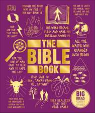 The Bible Book: Big Ideas Simply Explained