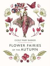 Flower Fairies of the Autumn