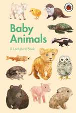 A Ladybird Book
