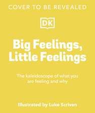 Big Feelings, Little Feelings: The Kaleidoscope of What You are Feeling and Why