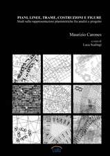 Piani, linee, trame, costruzioni e figure. Studi sulle rappresentazioni planimetriche fra analisi e progetto