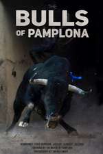 The Bulls Of Pamplona