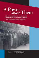 A Power among Them: Bessie Abramowitz Hillman and the Making of the Amalgamated Clothing Workers of America