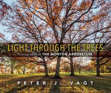 Light Through the Trees: Photographs at The Morton Arboretum 