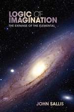 Logic of Imagination – The Expanse of the Elemental