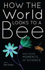 How the World Looks to a Bee – And Other Moments of Science