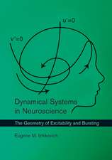 Dynamical Systems in Neuroscience – The Geometry of Excitability and Bursting