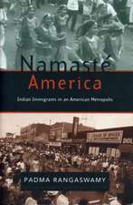 Namasté America – Indian Immigrants in an American Metropolis