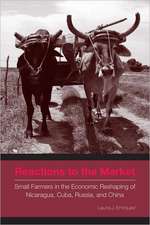 Reactions to the Market – Small Farmers in the Economic Reshaping of Nicaragua, Cuba, Russia, and China