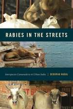 Rabies in the Streets – Interspecies Camaraderie in Urban India