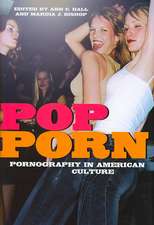 Pop-Porn: Pornography in American Culture