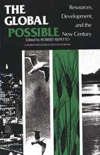 The Global Possible: Resources, Development, and the New Century