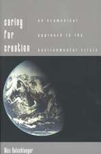 Caring for Creation: An Ecumenical Approach to the Environmental Crisis