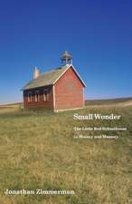 Small Wonder: The Little Red Schoolhouse in History and Memory