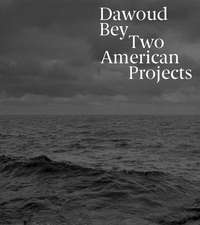 Dawoud Bey: Two American Projects