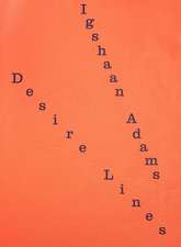 Igshaan Adams: Desire Lines