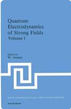 Quantum Electrodynamics of Strong Fields