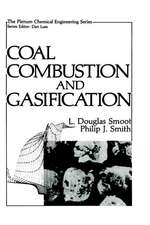 Coal Combustion and Gasification