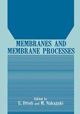 Membranes and Membrane Processes