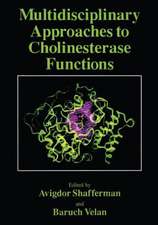 Multidisciplinary Approaches to Cholinesterase Functions