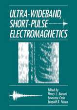 Ultra-Wideband, Short-Pulse Electromagnetics: The Prognosis of Energy and Mineral Resouces