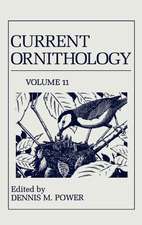 Current Ornithology: Volume 11