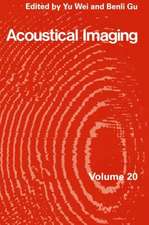 Acoustical Imaging 20