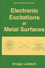 Electronic Excitations at Metal Surfaces