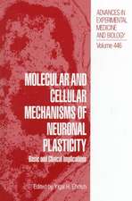 Molecular and Cellular Mechanisms of Neuronal Plasticity: Basic and Clinical Implications