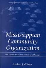 Mississippian Community Organization: The Powers Phase in Southeastern Missouri