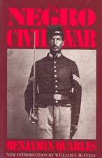 The Negro In The Civil War