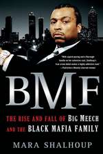 BMF: The Rise and Fall of the Big Meech and the Black Mafia Family