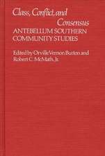 Class, Conflict, and Consensus: Antebellum Southern Community Studies