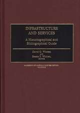 Infrastructure and Services: A Historiographical and Bibliographical Guide