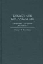 Energy and Organization: Growth and Distribution Reexamined