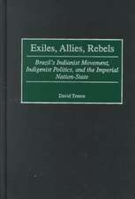 Exiles, Allies, Rebels: Brazil's Indianist Movement, Indigenist Politics, and the Imperial Nation-State