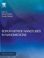 Boron Nitride Nanotubes in Nanomedicine